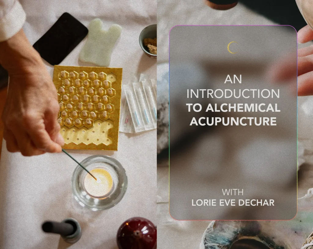 Introduction to Alchemical Acupuncture