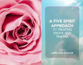 A Five Spirit Approach to Treating Shock and Trauma copy