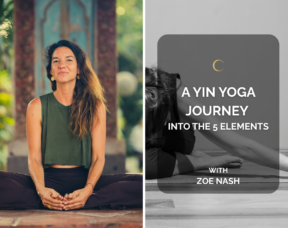 A Yin Yoga Journey Into the 5 Elements