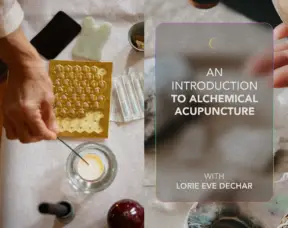 Introduction to alchemical Acupuncture copy