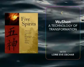 WuShen - A Technology of Transformation copy